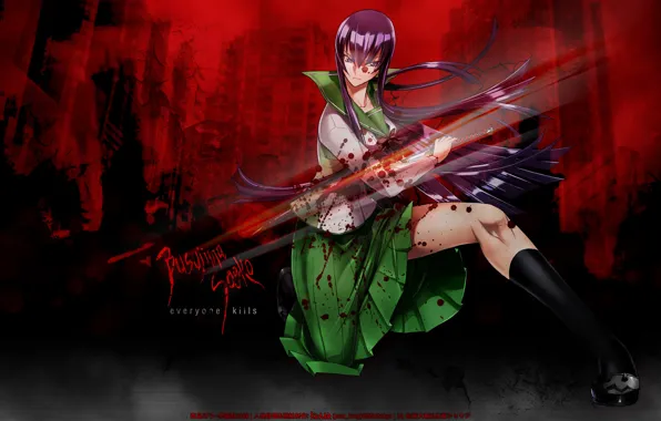 Picture blood, highschool of the dead, Saeco Busujima, school of the dead