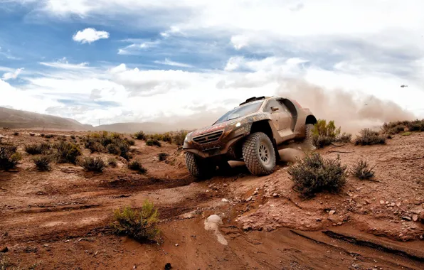 Picture desert, 2008, Peugeot, Rally, Dakar, DKR, baggy