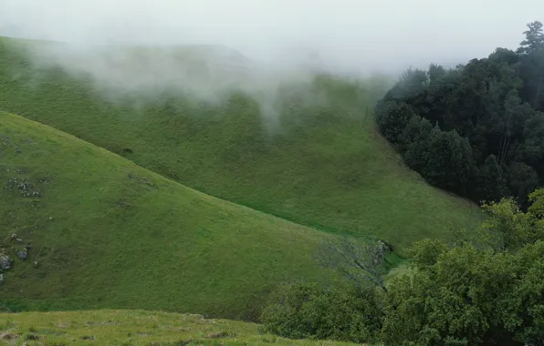 Picture green, fog, hills