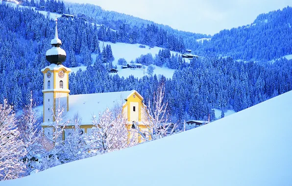 Picture winter, forest, the sky, snow, trees, mountains, watch, tower, home, Church