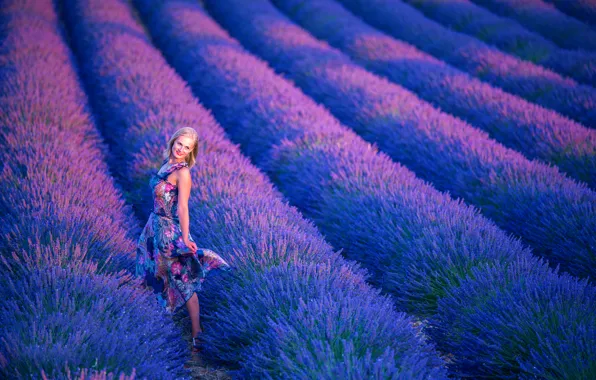 Picture girl, dress, lavender, Lavender Season