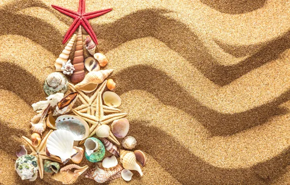 Picture sand, decoration, tree, New Year, shell, Christmas, beach, tree, sand, seashells