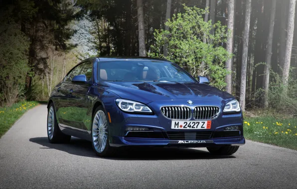 Picture BMW, BMW, Gran Coupe, xDrive, US-spec, F06, Alpina, 2015