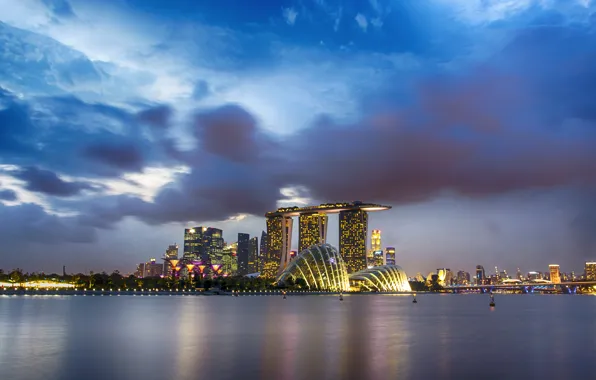 Picture the sky, night, clouds, the city, Bay, Singapore, Singapore, Gardens by the Bay