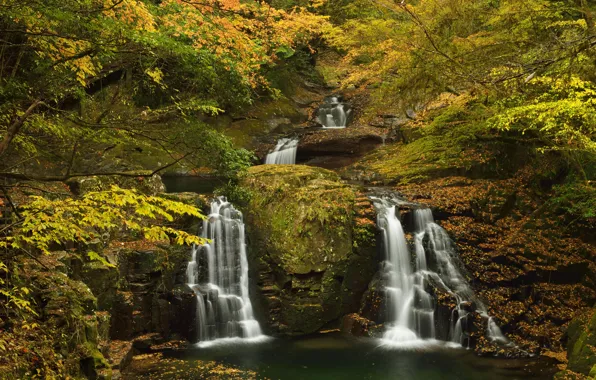 Picture autumn, forest, leaves, trees, stream, stones, waterfall, moss, yellow, the bushes