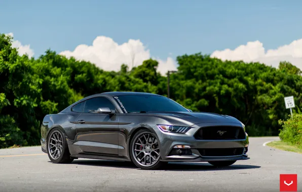 Picture mustang, wheels, ford, 5.0, vossen
