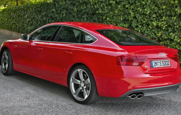Picture Audi, Red, Back, Sportback, (2015), Weiv