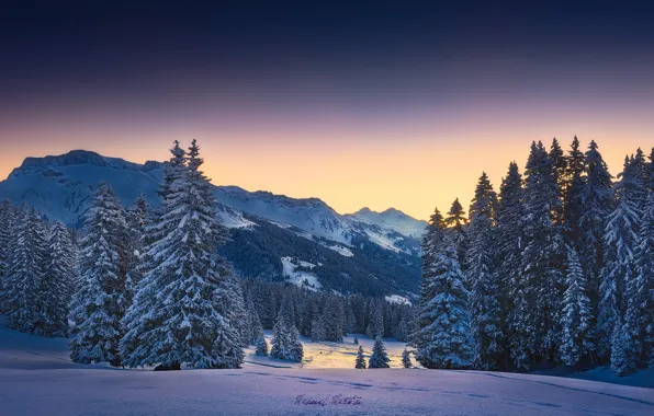 Picture winter, forest, snow, mountains, morning, Alps