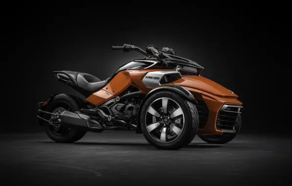 Picture Roadster, Canada, Spyder, modern, power, beautiful, motorcycle, Can-Am, strong, desing, tourism, comfortable, BRP, tricycle, robust, …