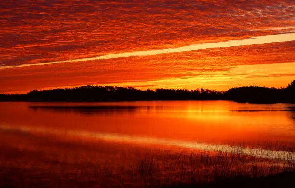 Picture water, sunset, crimson