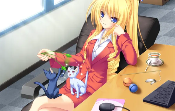 Picture girl, stay, anime, kittens