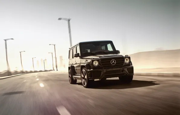 Picture Mercedes-Benz, Mercedes, G-Class, 2014, W463, Ares Design