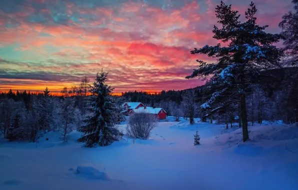 Picture winter, forest, the sky, clouds, snow, sunset, house, paint, the evening