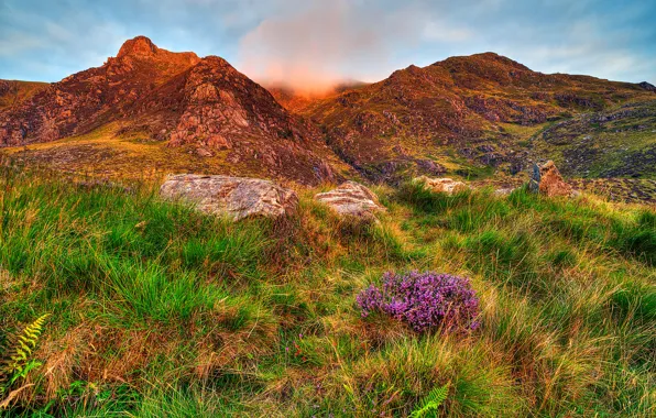 Picture the sky, grass, clouds, flowers, mountains, stones, slope, Snowdonia
