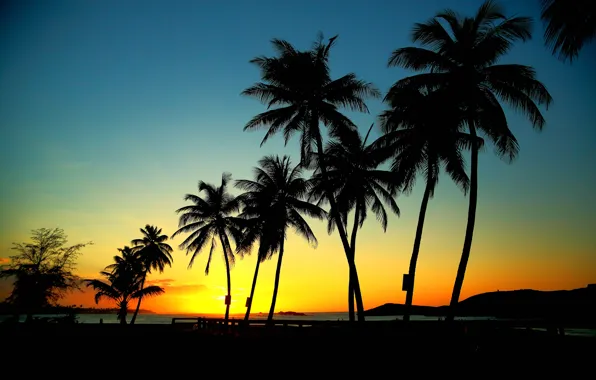Picture sea, the sky, sunset, mountains, palm trees