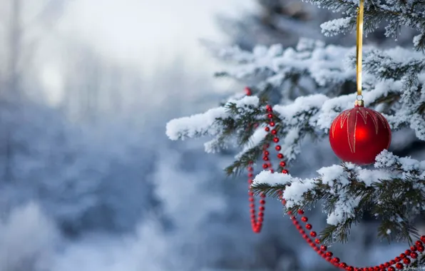 Picture snow, new year, ball, Christmas, tree, christmas