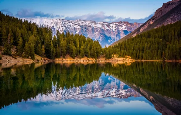 Picture forest, reflection, mountains, lake, Canada, Albert