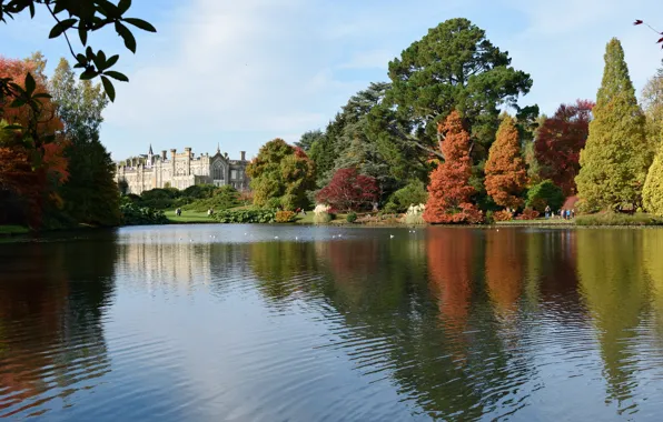 Picture autumn, lake, castle, England, colors, autumn, lake, England, castle, Sheffield park, Park Sheffield