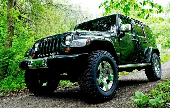 Picture road, forest, Jeep, car, Wrangler, Jeep, trees., high, patency, all-wheel drive, 4-D, Rangler