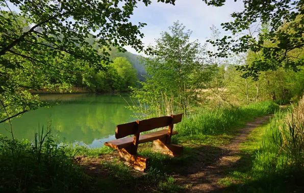 Picture greens, forest, grass, trees, bench, branches, lake, Switzerland, shop, path, the bushes, Perolles