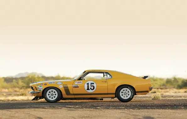 Picture Mustang, Ford, Boss 302, Race, 1970, Legend, Muscle car, TransAm