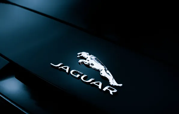 Picture Jaguar, label, Convertible, F-Type, rear badge
