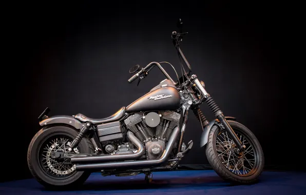 Picture Harley Davidson, motor bike, Mean machine