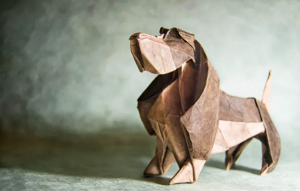 Picture paper, dog, origami