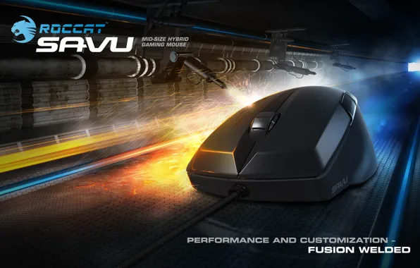 Picture gaming, mouse, roccat, your