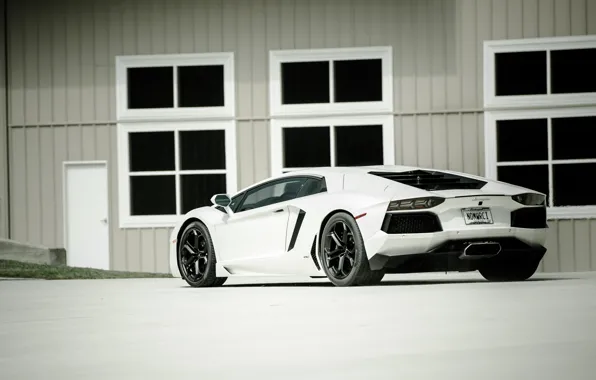 Picture white, the building, Windows, white, lamborghini, rear view, aventador, lp700-4, Lamborghini, aventador