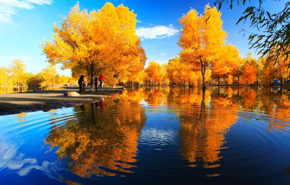 Picture autumn, trees, Park, river, China