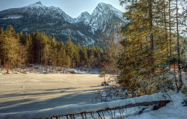 Picture winter, forest, trees, mountains, river, the bushes