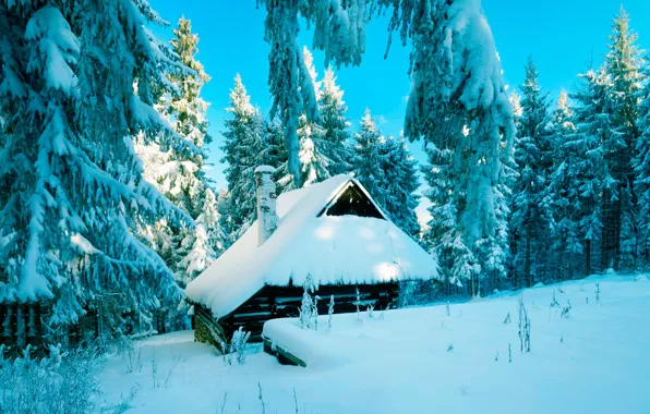 Picture winter, forest, snow, Poland, hut