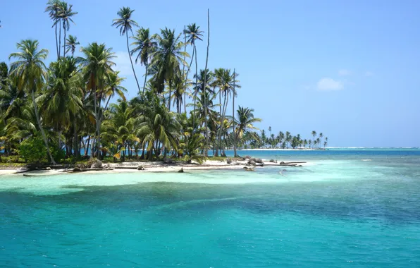 Picture Islands, tropics, palm trees, the ocean, exotic, San Blas Islands