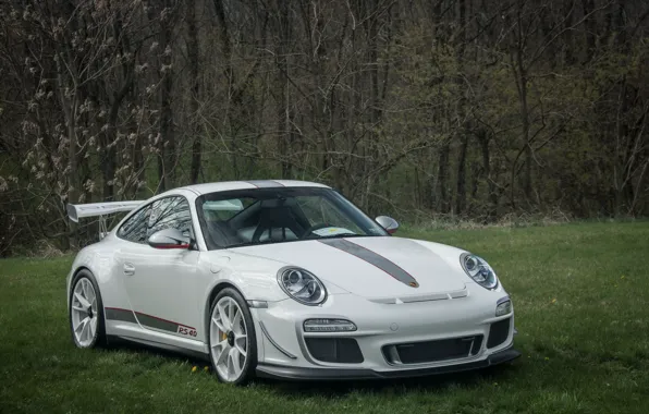 Picture 911, Porsche, white, 4.0