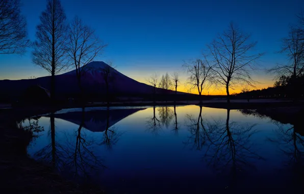 Picture the sky, trees, lake, the evening, Japan, silhouette, glow, mount Fuji