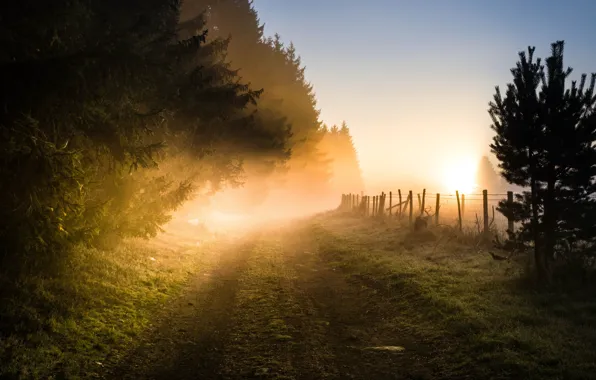 Picture fence, fog in the morning, the road into the distance
