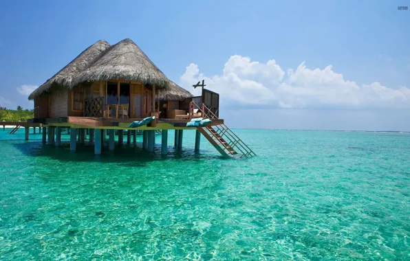 Picture water, the ocean, transparent, exotic, Bungalow, Maldives