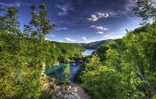 Picture forest, trees, panorama, Croatia, lake, Croatia, Plitvice lakes, Plitvice Lakes National Park, National Park Plitvice …