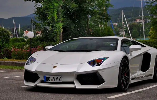 Picture Lamborghini, White, Aventador, Parking