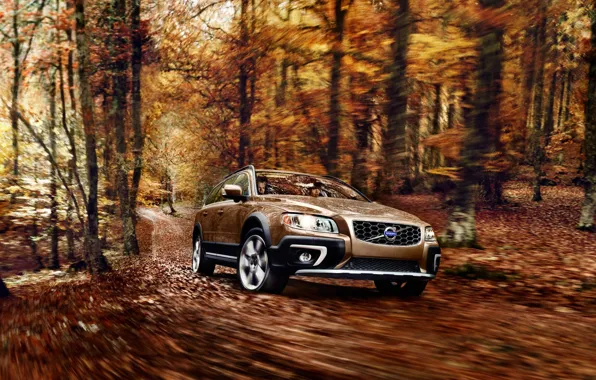 Picture Autumn, Volvo, Trees, Forest, Foliage, Cars, XC70