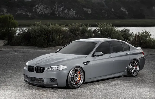 Picture BMW, BMW, F10