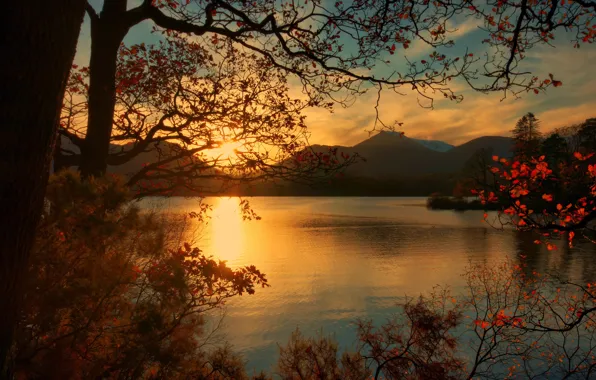 Picture autumn, leaves, trees, mountains, lake, dawn