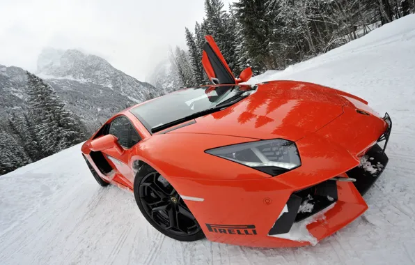 Picture snow, sports car, view, pug, Lamborghini LP700-4 Aventador