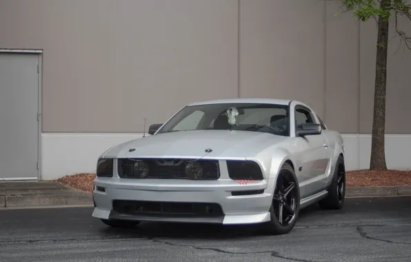 Picture Mustang, Ford, Silver, 2005-2010