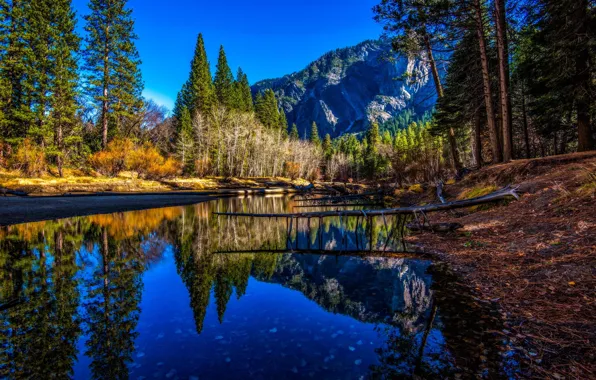 Picture trees, mountains, river, shore, tops, USA, Yosemite national park, Yosemite national Park