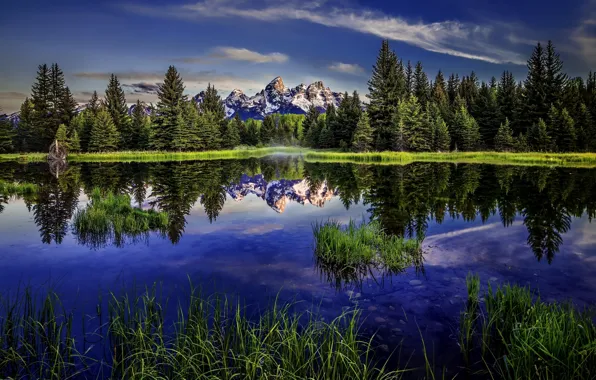 Picture forest, lake, reflection, Wyoming, Wyoming, Grand Teton, Grand Teton National Park, Rocky mountains, Rocky Mountains, …