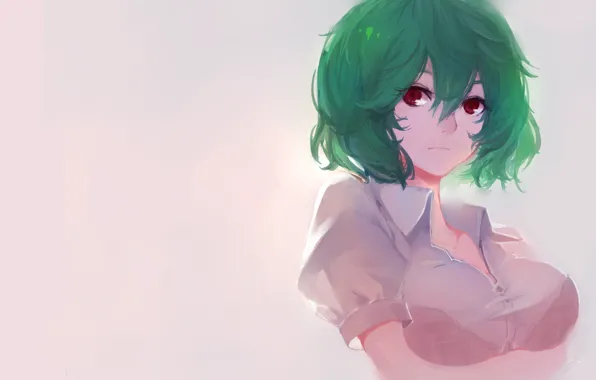 Picture girl, background, art, green hair, touhou, kazami yuuka, sola7764