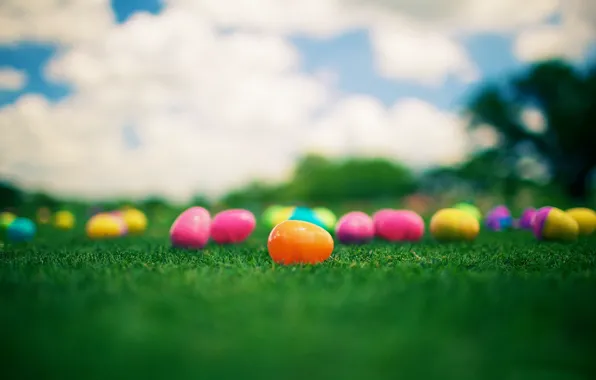 Picture grass, eggs, Easter, colorful, Easter, Kinder Surprise, Kinder Surprise