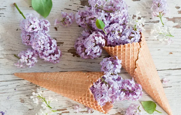 Picture flowers, flowers, lilac, lilac, waffle cone, waffle cones